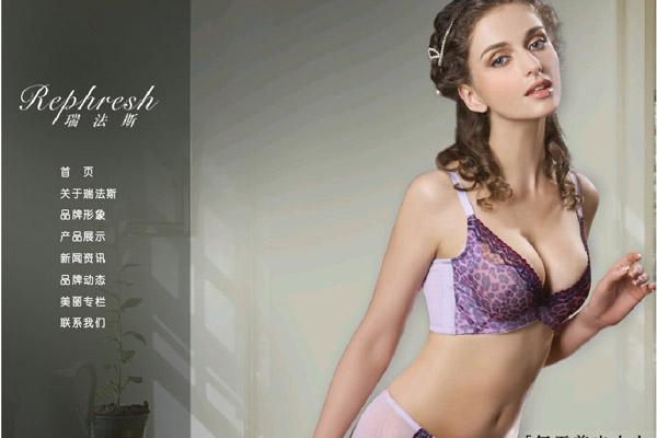 香港经典世家内衣国际贸易有限公司 - 网站建设